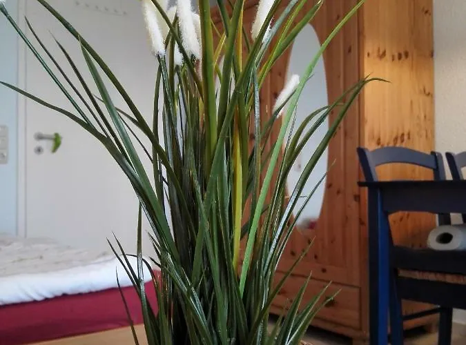 Lejlighed 180° Panoramameerblick - Sandkorn *